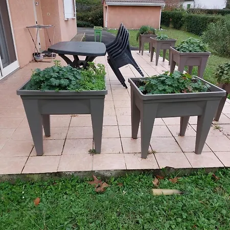 Appartement Grande Maison Sur 2000m° De Terrain Salies-de-Béarn