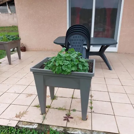 Appartement Grande Maison Sur 2000m° De Terrain *