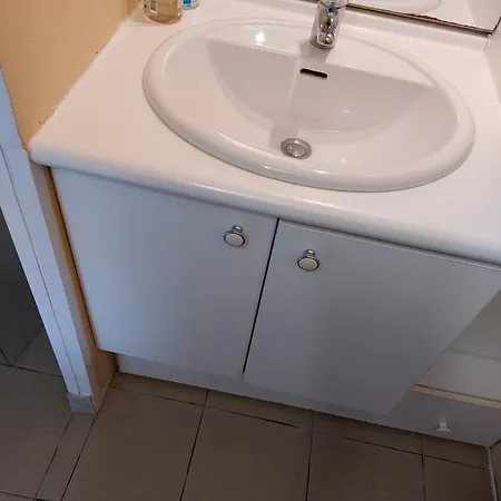 Grande Maison Sur 2000m° De Terrain Appartement Salies-de-Béarn