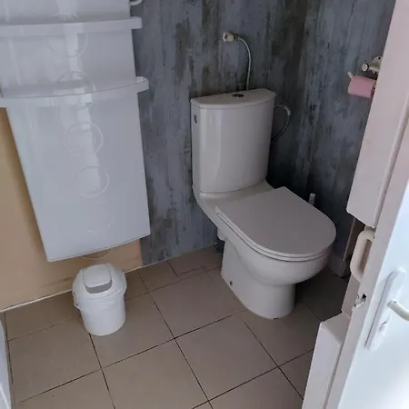 Grande Maison Sur 2000m° De Terrain * Salies-de-Bearn