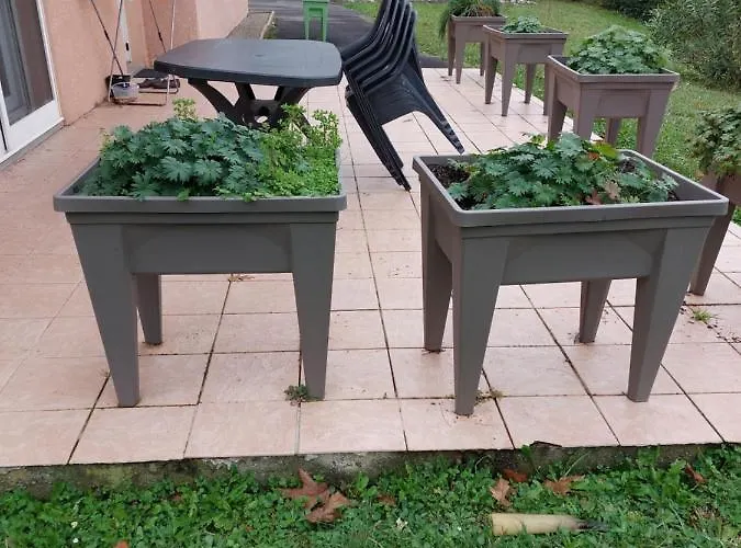 Daire Grande Maison Sur 2000m° De Terrain Salies-de-Béarn