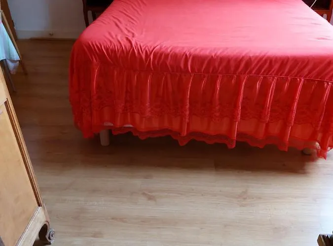 Grande Maison Sur 2000m° De Terrain * Salies-de-Béarn