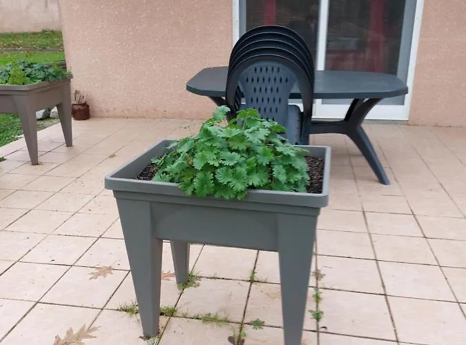 Daire Grande Maison Sur 2000m° De Terrain *