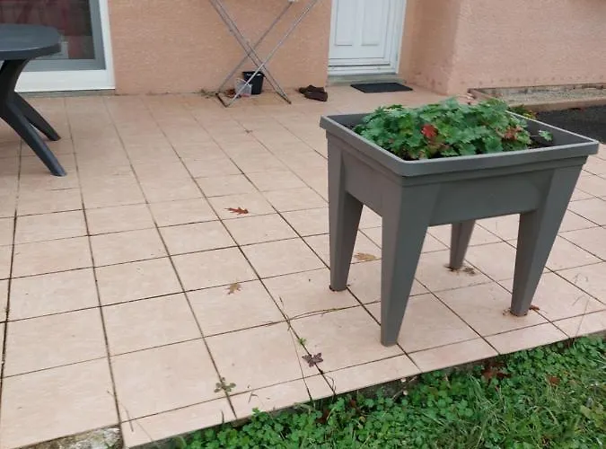 Grande Maison Sur 2000m° De Terrain *