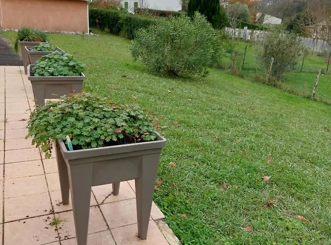 Grande Maison Sur 2000m° De Terrain Appartement *