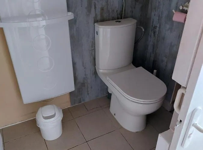 Grande Maison Sur 2000m° De Terrain * Salies-de-Béarn